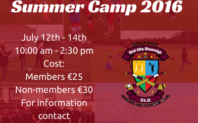 Hurling Camp 2016